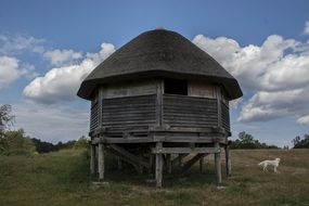 timbered tower with a thatched roof
