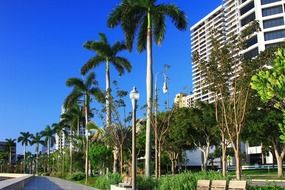 palm beach, florida