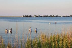fishermen in the lake are fishing
