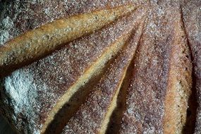 Baking delicious rye bread