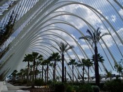 Modern arch with palms in the Valencia