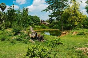 landscape pond thailand