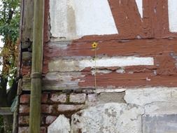 brick wall in a farm building