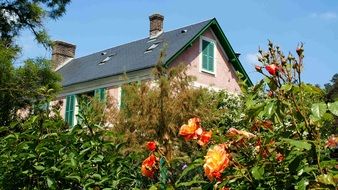 house in the roses garden