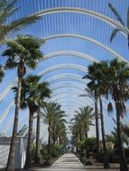 city of arts and sciences with beautiful plants in Valencia, Spain