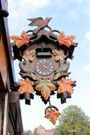 cuckoo clock on the facade of the building