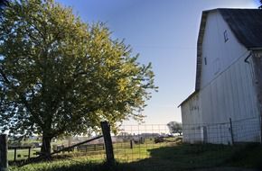 barn rural