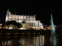 Photography of cathedral at night time