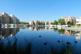 marina mirror effect in the water