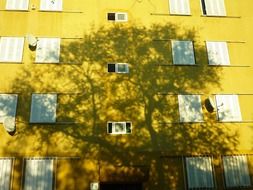 Shadow on the facade of the yellow building