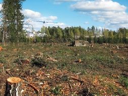 magnificent deforested construction