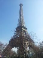 Eiffel tower among the plants on blue sky background