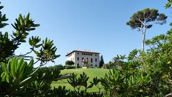 building in the park