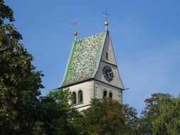 clock tower in the trees