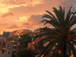 sunset over makarska riviera in croatia