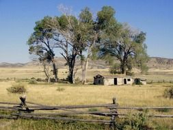 Landscape of Meadow in Wyoming