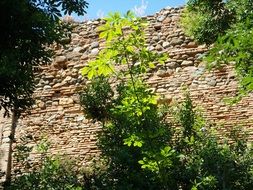 wall of the architectural ensemble of the Alhambra in Granada