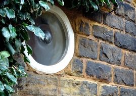 round window with ivy