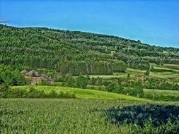 mountain with green trees and green grass