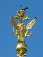 golden double eagle of the castle in Sankt- Petersburg