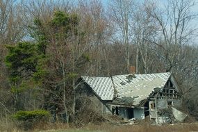 destroyed house in the forest