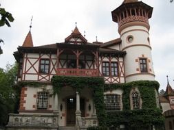 castle with green plants on the wall in europe