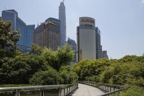 skysrapers of business district pudong in shanghai