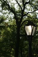 street lamp in central park