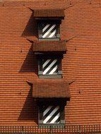 Brick wall with the windows