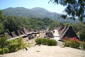 view of the authentic village houses on the island of Flores, Indonesia