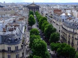 paris city trees