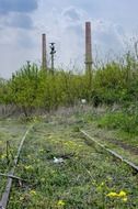 overgrown with grass rails