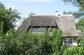 thatched home