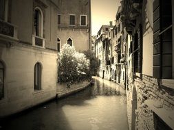 monochrome photo of nice venice channel