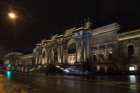 metropolitan museum