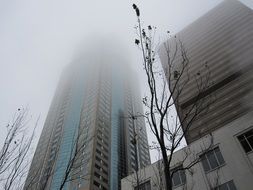 High skyscraper in the Seattle