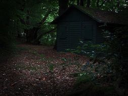 hunting house in the forest