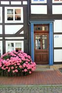 a bed of pink flowers at the door of the house