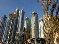 skyscrapers in port in dubai