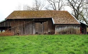 moss on the roof of an old barn