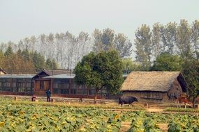 Beautiful and colorful Village among the nature in China