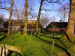 a picturesque landscape on the background of rural houses in the Netherlands