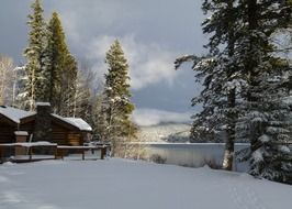 winter scenery on canim lake