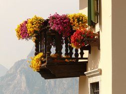 Colorful flowers on a balcony