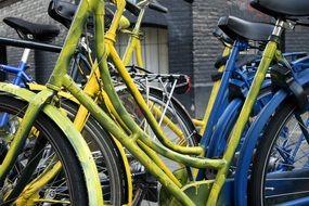 colourful bicycles in amsterdam