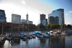 port in Buenos Aires