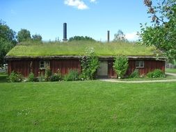 grass on the roof of a house in Sweden