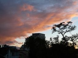 tree and house on the sunset sky background