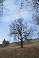 landscape of castle architecture