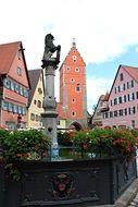 flowers around the fountain in the old town